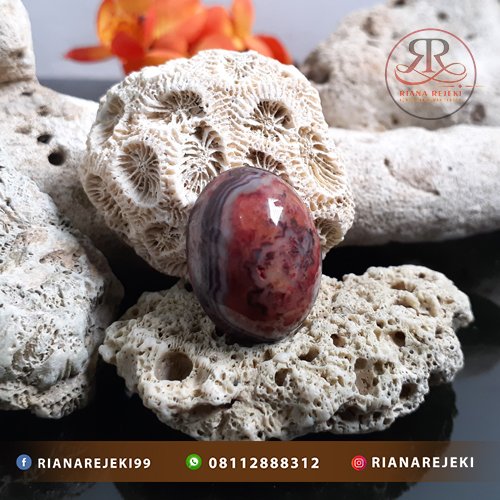 Mustika Puter Giling Anyelir